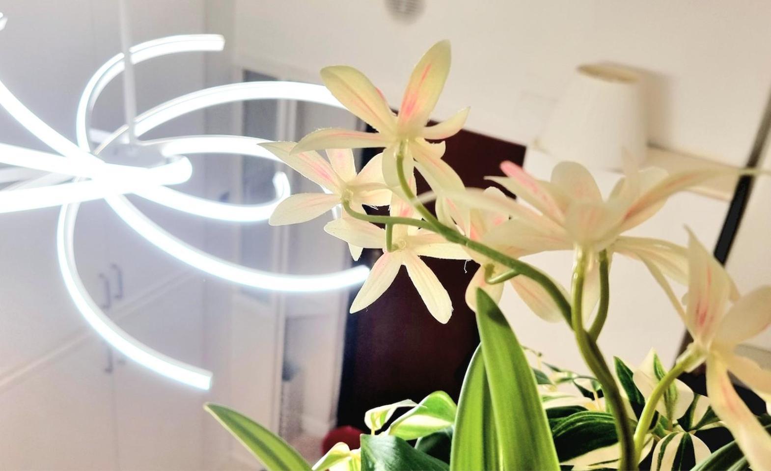 Isola Brera Duomo - Antica Atmosfera - Lovable Cozy Apartment มิลาน ภายนอก รูปภาพ